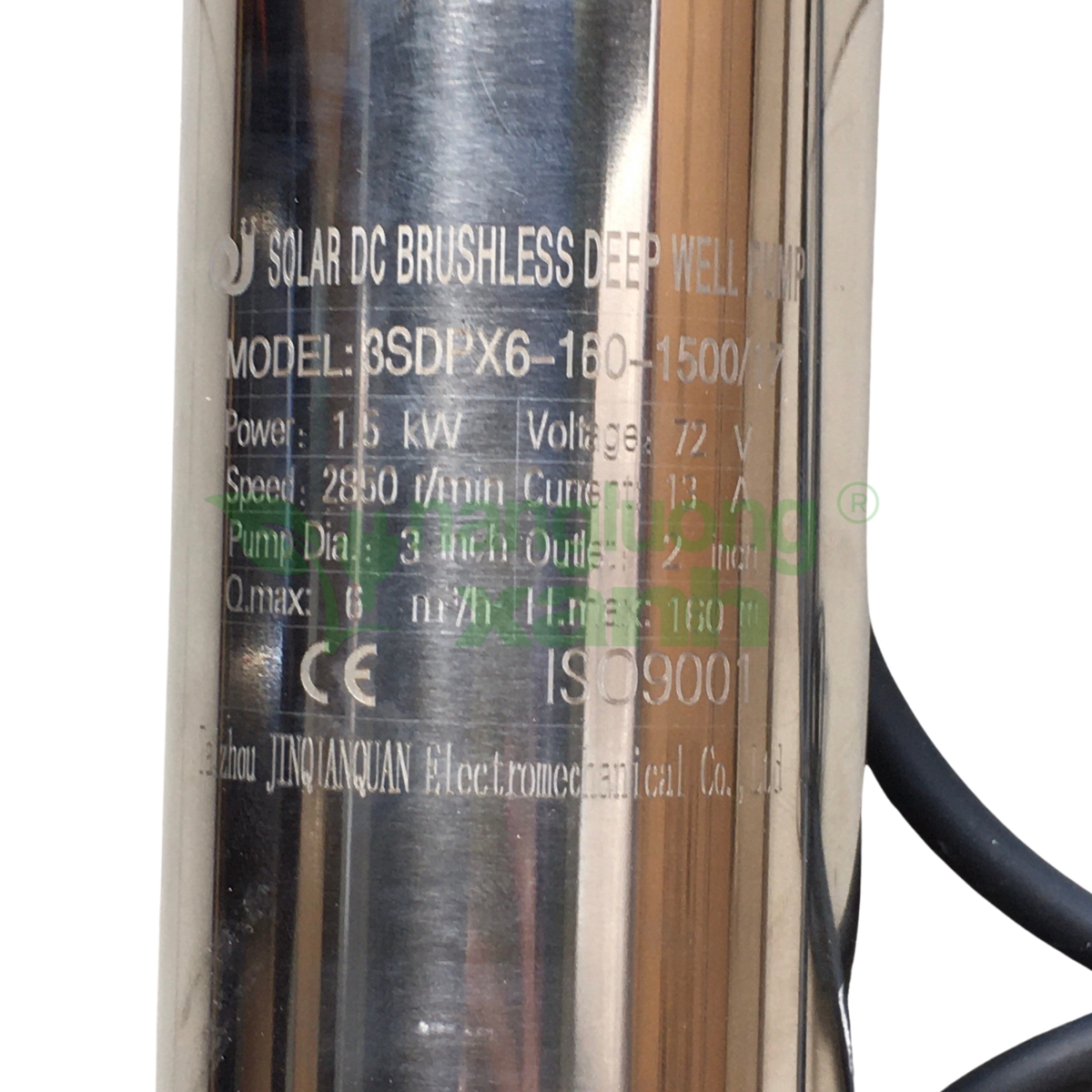 Bom hoa tien 1500w (1200 x 1200 px)