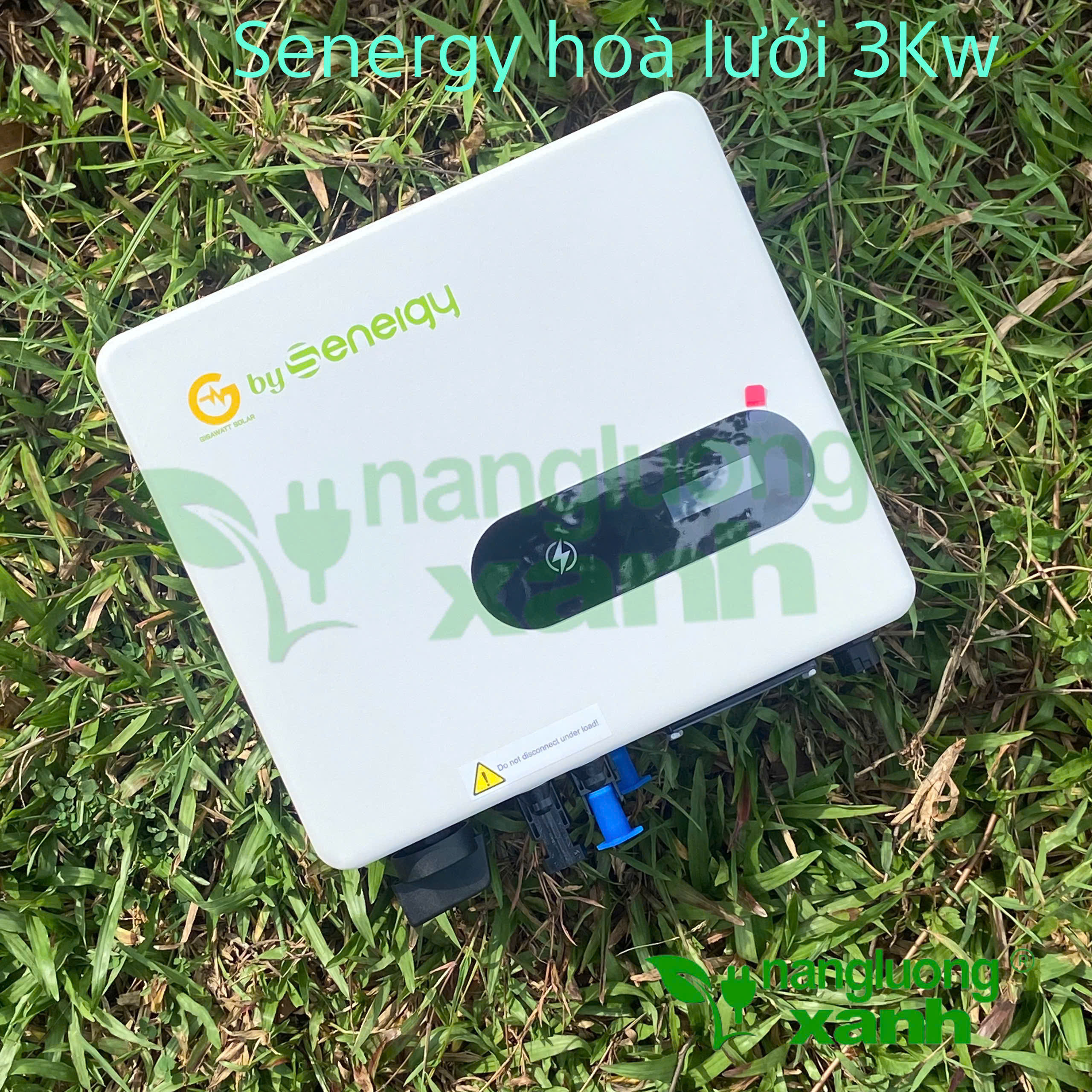 z6168485383561_1ef59addc90faa80d480041cef5cd2ca